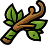 Circle Elder